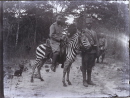 German soldier riding a zebra